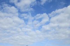 img_0467_20110911_1984188450