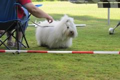 img_0551_20110911_2012188189