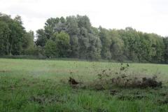 img_0575_20110911_1014234588