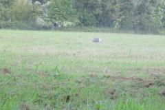 img_0578_20110911_1815368585