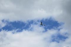 img_0625_20110911_1204956655