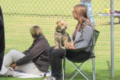 img_2112_20120905_1925060949