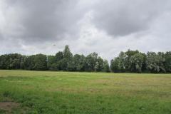 img_2195_20120905_1475239280