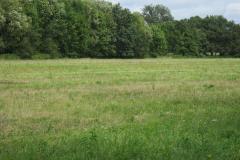 img_2197_20120905_1105014475