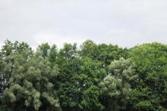 img_2198_20120905_1629143305