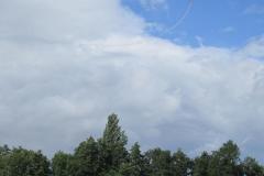 img_2229_20120905_1695092239
