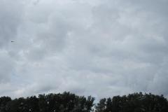 img_2235_20120905_1623003287