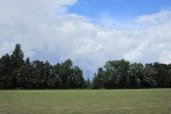 img_2237_20120905_1488390831 img_2237_20120905_1488390831