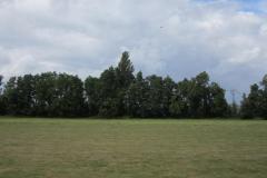 img_2239_20120905_2073469940