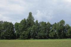 img_2240_20120905_1860873306