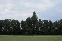 img_2244_20120905_2095944422