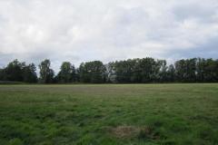 img_2252_20120905_1128247298