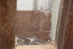 p5220308_20110918_1774129659