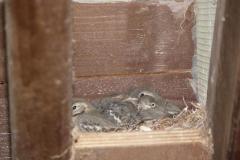 p5220311_20110918_1433081591