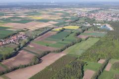 img_49938_20130221_1743157469